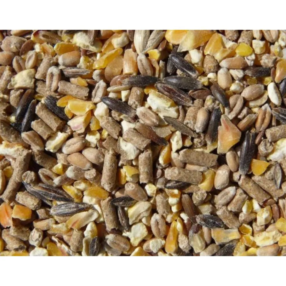 REGAL ALIMENT LAPIN> Élevage Lapins·Alimentation