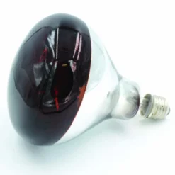 GAUN AMPOULE POUR ELEVEUSE 175W> Équipements De Reproduction·Éleveuses Et Ampoules|Équipements De Reproduction·Éleveuses Et Ampoules