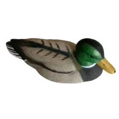 TERZEO CHASSEURS APPELANT COLVERT MÂLE HD><noscript><img width=