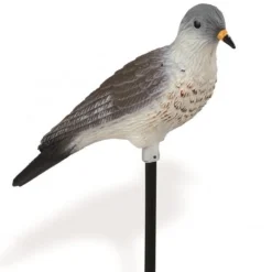 APPELANT GRIVE LITORNE> Chasse Des Grives Et Des Merles·Formes Et Blettes De Grives