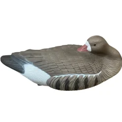 TERZEO CHASSEURS APPELANT OIE DORMEUSE> Chasse Du Gibier D'Eau·Formes Et Blettes D'Oies