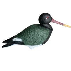 TERZEO CHASSEURS APPELANT PIE DE MER> Chasse Du Gibier D'Eau·Formes Et Blettes De Limicoles