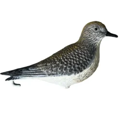 TERZEO CHASSEURS APPELANT PLUVIER DORE> Chasse Du Gibier D'Eau·Formes Et Blettes De Limicoles