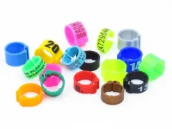 RINGS4WINGS BAGUES A CLIP PLASTIQUE Ø8MM X50> Élevage Pigeons Et Colombophilie·Bagues De Repérage Et Accessoires|Élevage Pigeons Et Palombes·Bagues De Repérage Et Accessoires