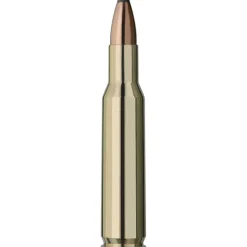 RWS BALLES 222REM TMS 3.2G> Munitions Rayées Pour Le Grand Gibier·Balles .222 Remington