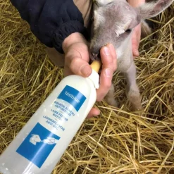 UKAL BIBERON POUR AGNEAU 0,5L> Élevage Chèvres Et Moutons·Équipements