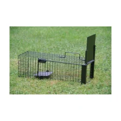 HENON BOITE A RAT 1 ENTREE 16.5X16.5X50><noscript><img width=