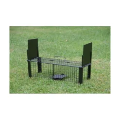 HENON BOITE A RAT 2 ENTREES 16.5X16.5X50><noscript><img width=