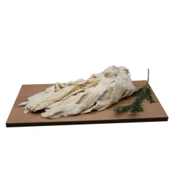 MA CHARCUTERIE MAISON BOYAUX BAUDRUCHE DE BOEUF> Faire Ses Charcuteries·Boyaux