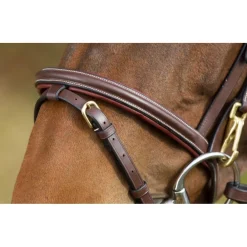 HFI BRIDON CUIR FONCTIONAL HAVANE> Briderie·Bridons Cuir