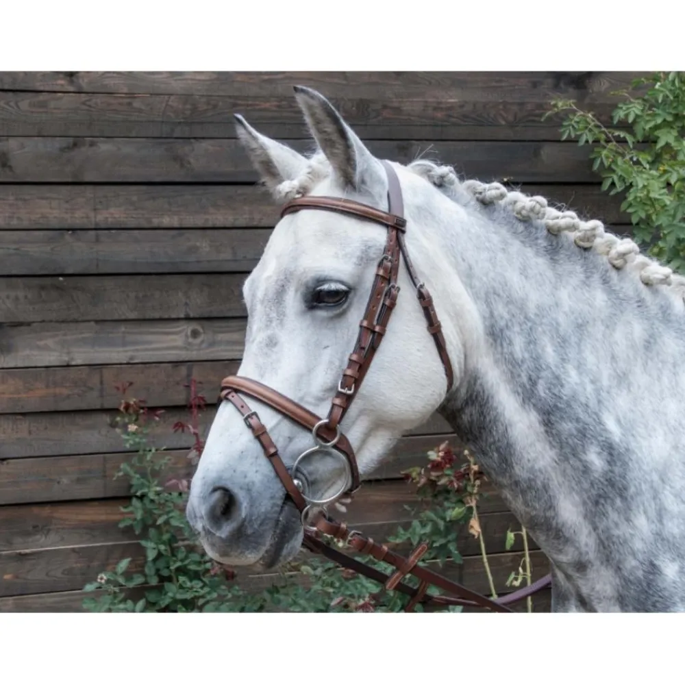 T DE T BRIDON SISLEY COMBINE HAVANE> Briderie·Bridons Cuir