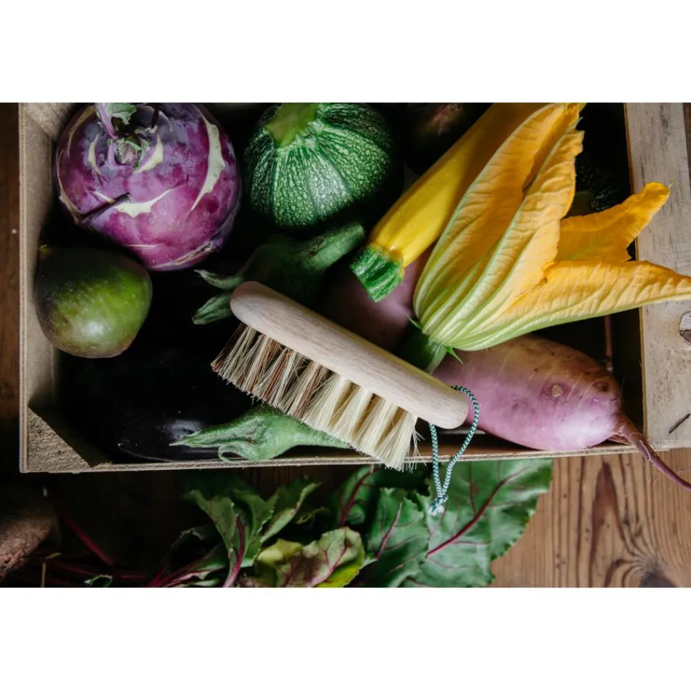 ANDREE JARDIN BROSSE A LEGUMES EN BOIS HETRE> Accessoires Pour L'Entretien·Brosses De Nettoyage Cuisine