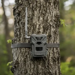 SPYPOINT CAMERA FLEX - M><noscript><img width=