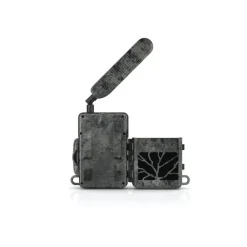 ZEISS CAMERA SECACAM 7><noscript><img width=
