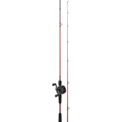 DAIWA CANNE CASTING + MOULINET PR> Cannes Carnassiers Casting·Ensembles Lancer Casting