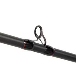 FOX RAGE CANNE CASTING PRISM X BIG BAIT 2M40 230G><noscript><img width=