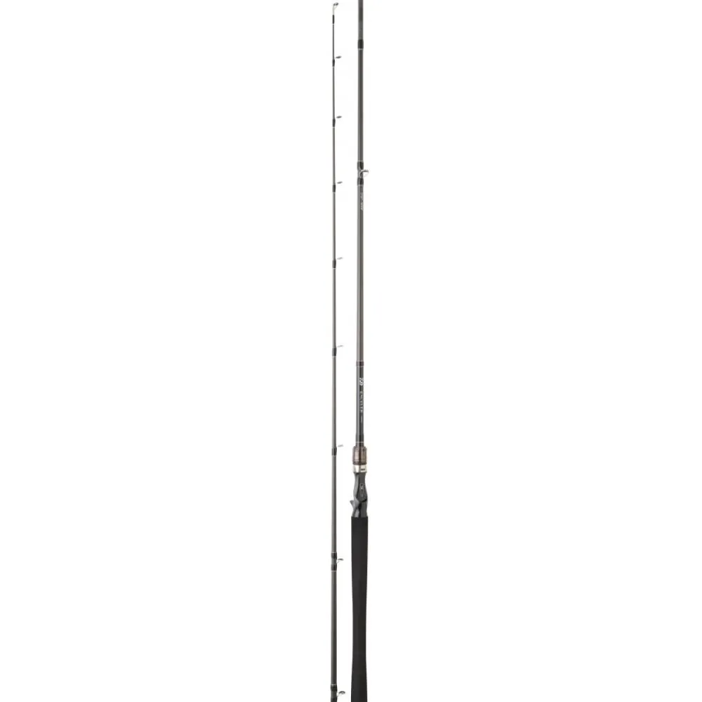 DAIWA CANNE EXCELER CASTING 2M24 28-84G> Cannes Carnassiers Casting·Cannes Casting Daiwa