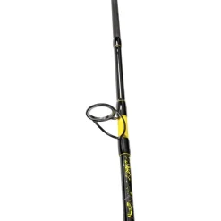 BLACK CAT CANNE PERFECT PASSION SPIN 2M70 60/200G> Cannes Silure·Cannes Silure Et Spinning