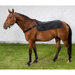 BACK ON TRACK CHAUFFE DOS DE REPOS NOIR> Protections De Repos Et De Transport·Protections De Repos
