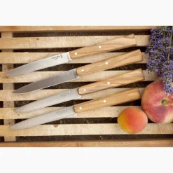 OPINEL COFFRET 4COUTEAUX TABLE BON APPETIT> Couteaux De Cuisine·Couteaux De Cuisine Opinel