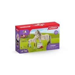 SCHLEICH COFFRET FIGURINES KIT DE SECOURS D'HORSE CLUB HANNAH><noscript><img width=