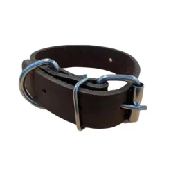 COLLIER CUIR MARRON> Colliers, Laisses Et Harnais·Colliers Cuir|Colliers, Laisses Et Harnais·Colliers Cuir