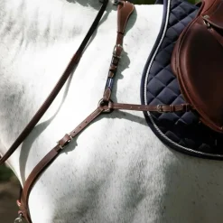 ANTARES COLLIER DE CHASSE A PONT HAVANE> Enrênements Et Travail À Pied·Enrênements Travail Monté