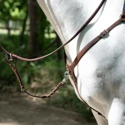 ANTARES COLLIER DE CHASSE A PONT HAVANE><noscript><img width=
