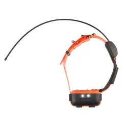 NUM'AXES EDUCATION COLLIER ENSEMBLE CANICOM GPS 2><noscript><img width=