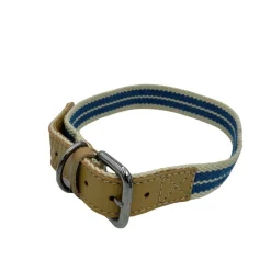 COLLIER RUBAN 50CM BLEU> Colliers, Laisses Et Harnais·Colliers Nylon|Colliers, Laisses Et Harnais·Colliers Nylon