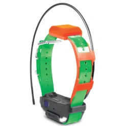 DOGTRA COLLIER SUPP PATHFINDER 2 TRX> Colliers De Repérage Et Localisation·Colliers De Repérage - Gps|Colliers De Repérage Et Localisation·Colliers De Repérage - Gps