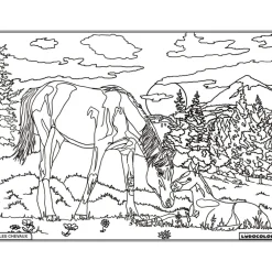 LUDOCOLOR COLORIAGE JUMENT & POULAIN>Enfant Papeterie Pour Enfants·Activités Créatives Enfant