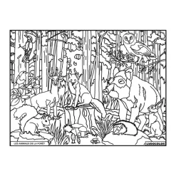 LUDOCOLOR COLORIAGE LES ANIMAUX DE LA FORET>Enfant Papeterie Pour Enfants·Activités Créatives Enfant