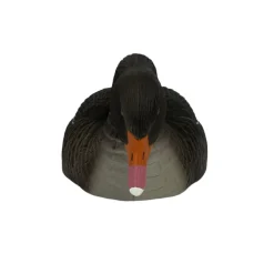 TERZEO CHASSEURS COQUILLE OIE CENDREE HD MANGEUSE> Chasse Du Gibier D'Eau·Formes Et Blettes D'Oies
