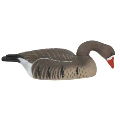 TERZEO CHASSEURS COQUILLE OIE RIEUSE HD GAGNAGE> Chasse Du Gibier D'Eau·Formes Et Blettes D'Oies