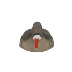 TERZEO CHASSEURS COQUILLE OIE RIEUSE HD GAGNAGE> Chasse Du Gibier D'Eau·Formes Et Blettes D'Oies