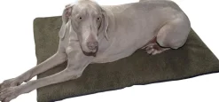 TERZEO VOS ANIMAUX COUSSIN POUR CHIEN KAKI><noscript><img width=