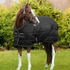 HORSEWARE COUVERTURE D'ECURIE AMIGO INSULATOR 100G><noscript><img width=