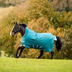 HORSEWARE COUVERTURE EXTERIEUR AMIGO BRAVO 12 400G> Chemises Et Couvertures D'Extérieur·Couvertures D'Extérieur Chaudes