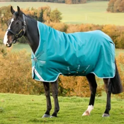 HORSEWARE COUVERTURE EXTERIEUR AMIGO BRAVO 12 400G><noscript><img width=
