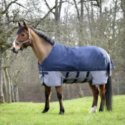 EQUITHEME COUVERTURE EXTERIEUR BELLYBELT 300G> Chemises Et Couvertures D'Extérieur·Couvertures D'Extérieur Chaudes