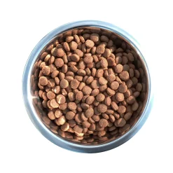 EVERLAND CROQUETTES WOLPY CHASSE 20KG> Alimentation·Croquettes Chien Adulte Énergie|Alimentation·Croquettes Chien Adulte Énergie