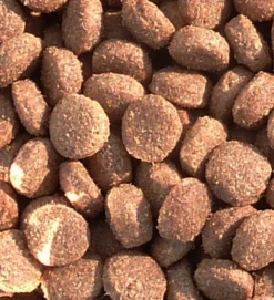 EVERLAND CROQUETTES WOLPY CHASSE 20KG><noscript><img width=