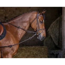 RIDING WORLD ENRENEMEMENT PIRELLI> Enrênements Et Travail À Pied·Enrênements Travail À Pied