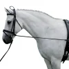 HARRY'S HORSE ENRENEMENT EDUCATIF CHEVAL> Enrênements Et Travail À Pied·Enrênements Travail À Pied