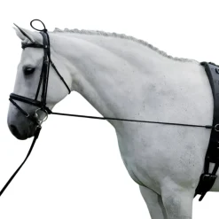 HARRY'S HORSE ENRENEMENT EDUCATIF CHEVAL> Enrênements Et Travail À Pied·Enrênements Travail À Pied
