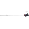 DAIWA ENSEMBLE CARPE 12 PIEDS 3LBS + MOULINET> Cannes À Carpe·Ensembles Carpe