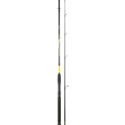SRT ENSEMBLE SPINNING EMBOITEMENT FISH INSTINCT FW20 SPINCAST + MOULINET MEKA EFI RD><noscript><img width=