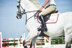 COMPOSITI ETRIERS ADULTE REFLEX><noscript><img width=