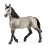 SCHLEICH FIGURINE JUMENT SELLE FRANÇAIS>Enfant Figurines·Figurines Liées À L'Équitation